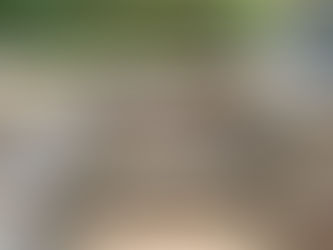 Indian sandstone and split slate wall tiles