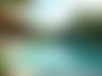 Choosing Between Saltwater and Chlorine Pools: A Journey Through Personal Experience and Insights