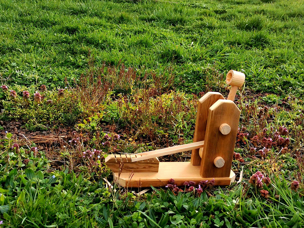 Miniature : CATAPULTE