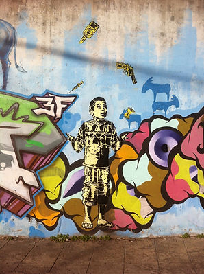 The Newcastle Youth Studies Network