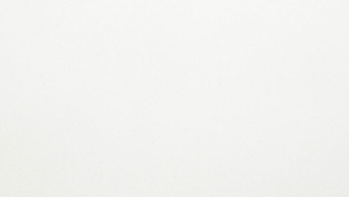 LV 2 ASV-1080 Skylight 