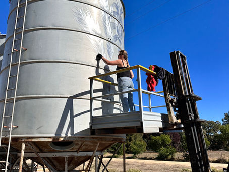 Een jaar vol reizen, werken en muurschilderingen maken in Australië. Van backpacken langs de oostkust tot het beschilderen van een silo op een boerderij in Hay