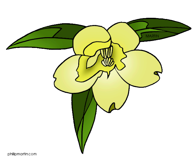 South-Carolina-State-Flower.gif