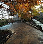 Large stone patio and garden pathway surrounded by trees and plants
