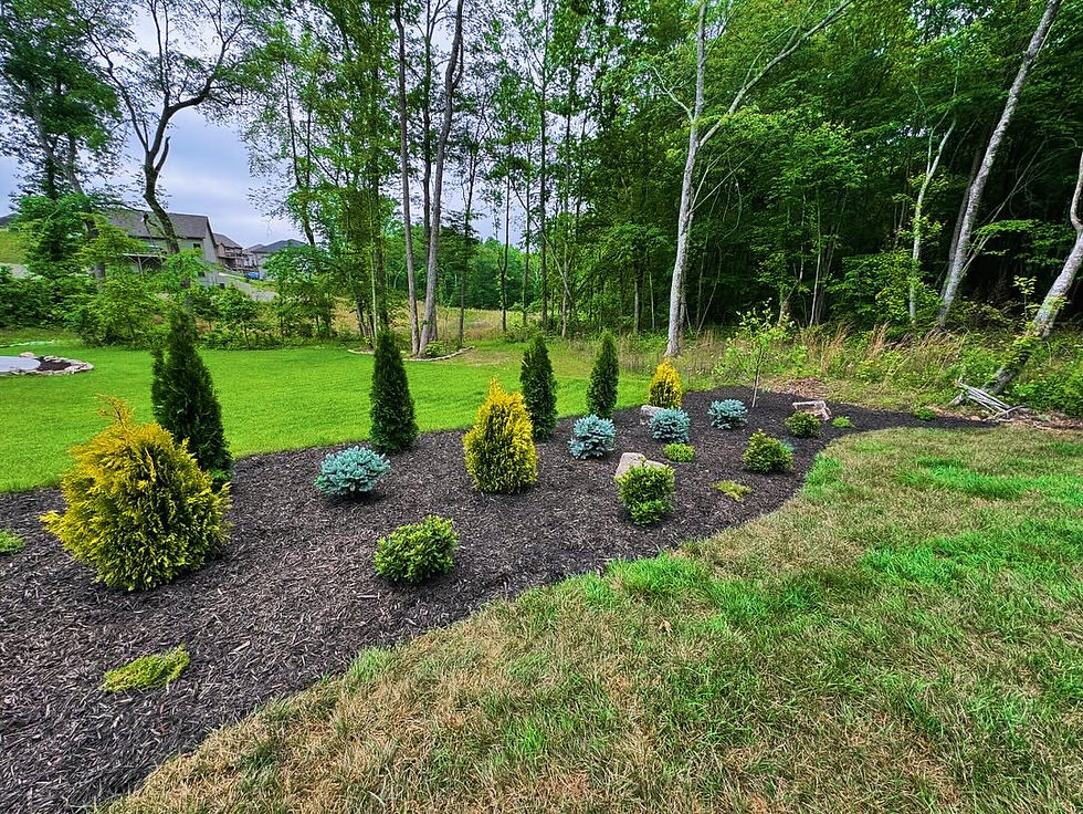lawn irrigation
