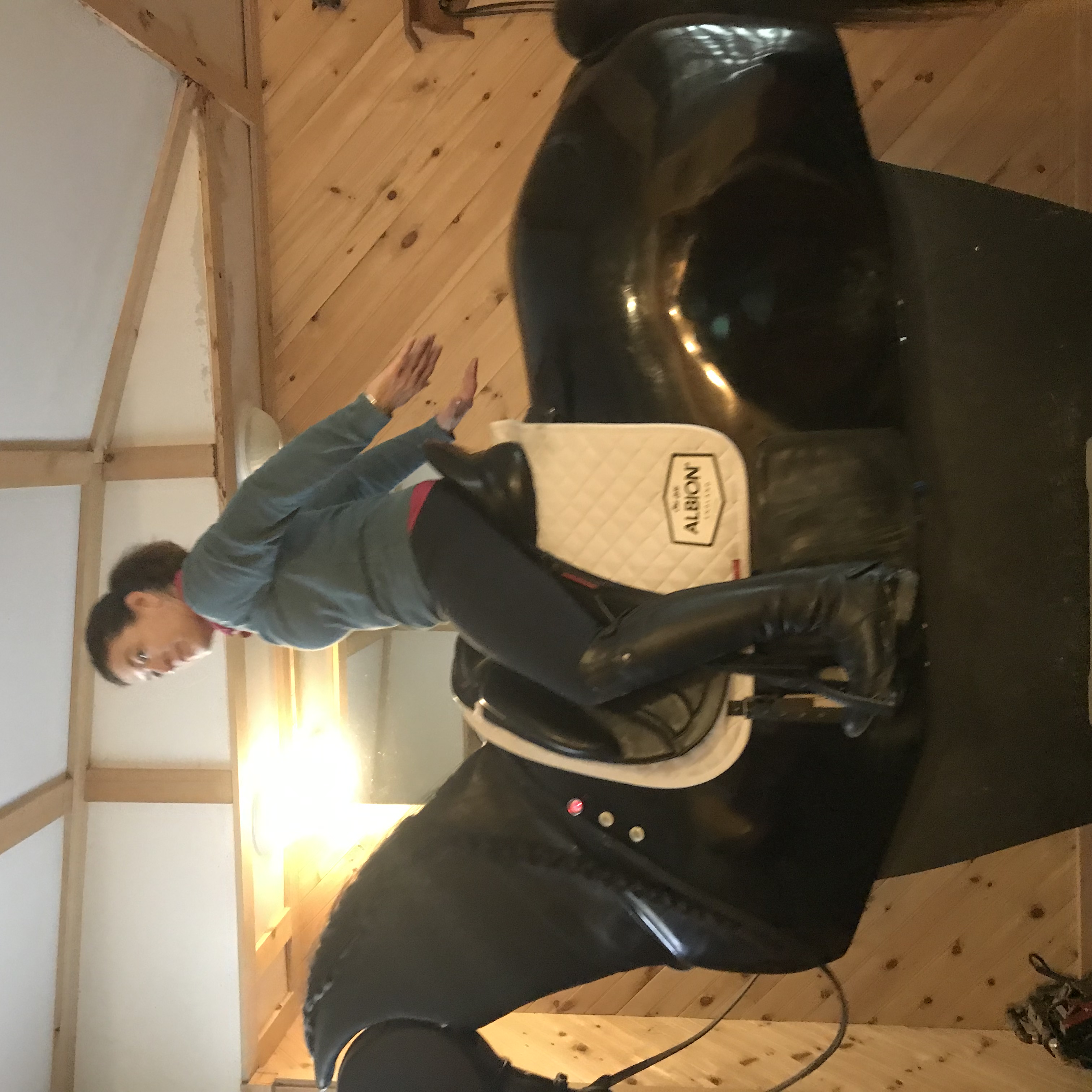 riding a horse simulator riding a horse simulator