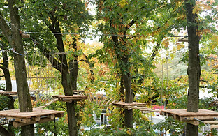 BHA Gibbon Sport-41.JPG