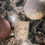 Thumbnail: Cup of Coffee 
