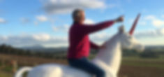 Andrew-unicorn.jpeg