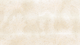 Sharmayne Jenkins (1084 x 576 mm) (7).png
