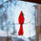 Thumbnail: cardinal pattern