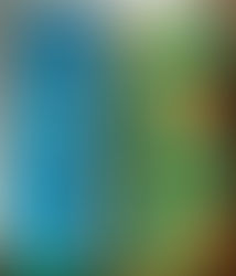 Maquete e SketchUp do Espaço da Intervenção