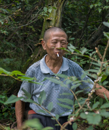 Forest Caretaker.jpg