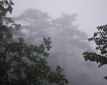 Fog Over Yellow Mountains.jpg