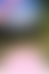 Big Ticket Bucket List: 25 National Parks x 25 Years Old