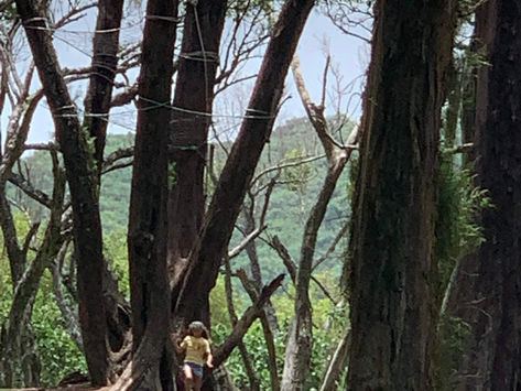 Getting out of the wilderness.. Feeling Stuck.