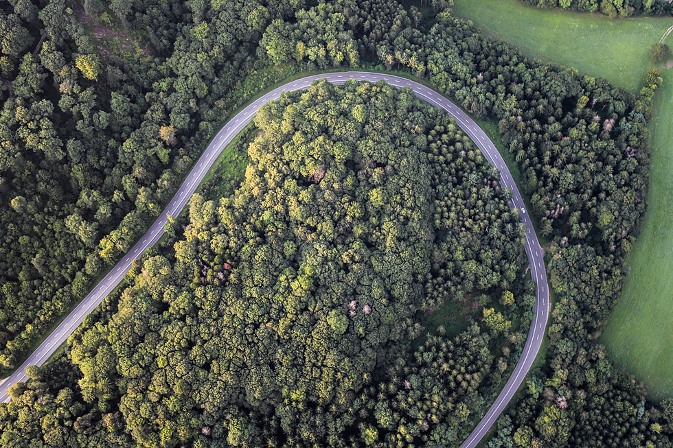 180 à travers les bois