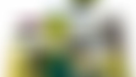 The 2022 World Cities Report: How you can improve the sustainability of your city