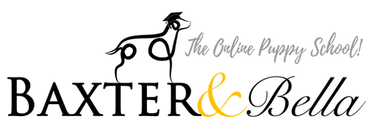 B&B PARTNERS Logo WHITE Background.webp