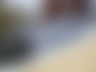 What Really Affects the Cost of a Roof Replacement?