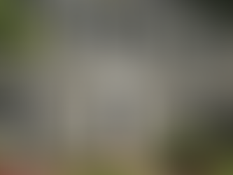 A Guide to the Different Types of Vinyl Siding: Horizontal, Vertical, and Shake