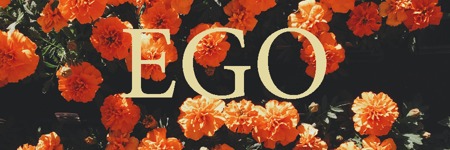 EGO-bild-900x300-1.webp