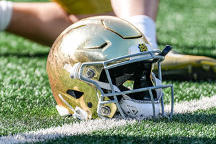 Tribune+ Exclusive: Portal Outlook on Two Wide Receiver Targets