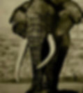 shared image (4).jfif
