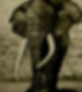 shared image (4).jfif