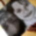 shared image (2).jfif