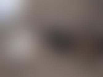 4 petits coqs en soie 