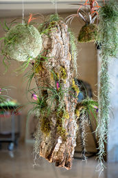 EarthCode Exhibition 4-23 ItaiAviran (Small) 147.jpg