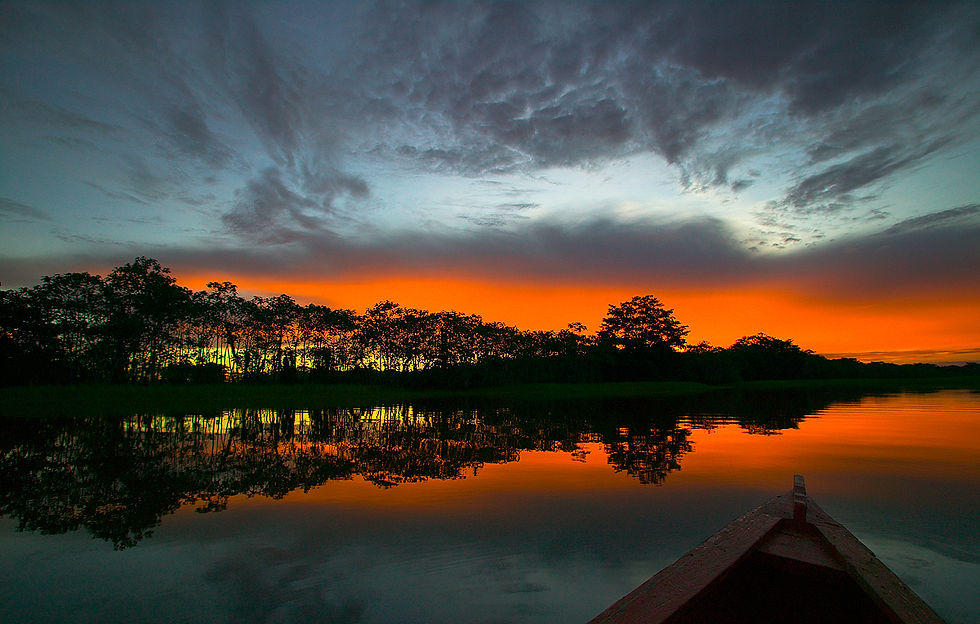 AMAZONAS (1).jpg