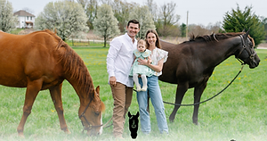Steadfast show horses.png