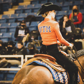 Inside Steadfast Equestrian Team: Goals, Grit, and Growth