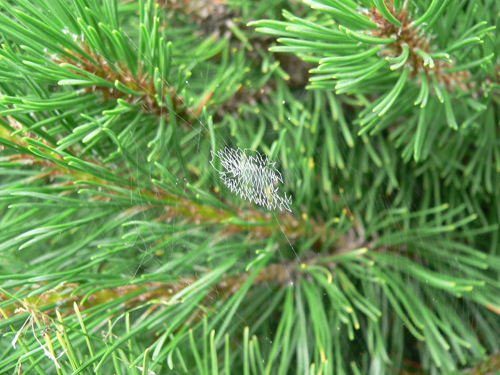 P1090169.JPG