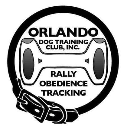 Fast CAT (11/21/2025)