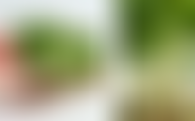 МИКРОРАСТЕНИЯТА I Преглед на хранителен и фитохимичен състав