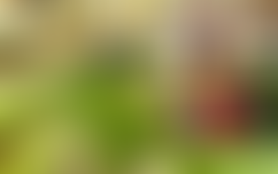 МИКРОРАСТЕНИЯТА I Малки стъпки към голяма устойчивост