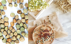 ОТ КЛАСИЧЕСКИ ДО ЕКЗОТИЧЕН I За различните видове семена от грах