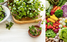 МИКРОРАСТЕНИЯТА I Имат ли същия ефект като зрелите зеленчуци?