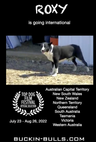 Roxy: Accepted at Top Dog International Film Festival