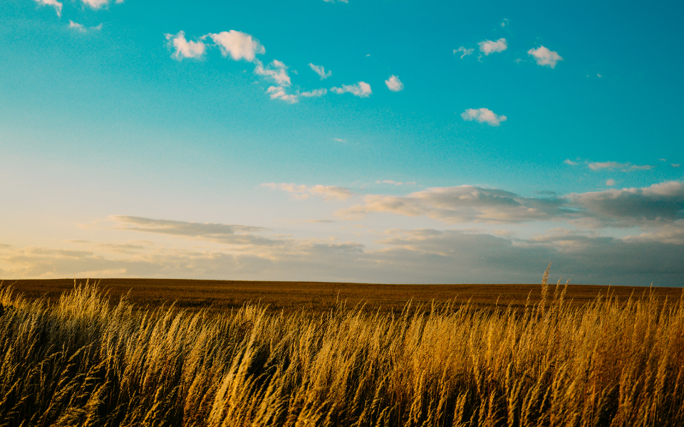 Pyrford Financial Planning