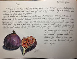 figs-food I love