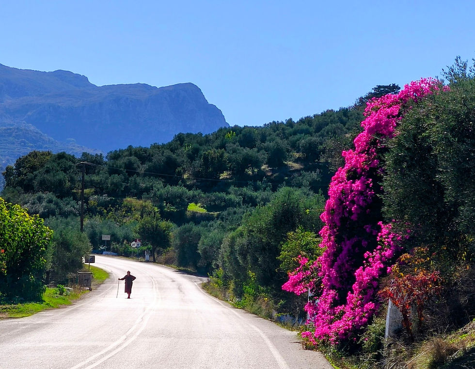 Traumhafte Blütenpracht säumt die Straße