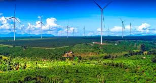 Il Dipartimento delle Finanze della Provincia Gia Lai ha annunciato il bando per la realizzazione del progetto eolico di Hon Trau. Il progetto copre un'area offshore di circa 32,01 ettari e una superficie terrestre di circa 17,61 ettari, che comprende i comuni di Phu My Dong, Phu My Bac, Phu My Tay, Binh Duong, Ngo May, Cat Tien e Tuy Phuoc Dong, oltre al distretto di Quy Nhon Dong.