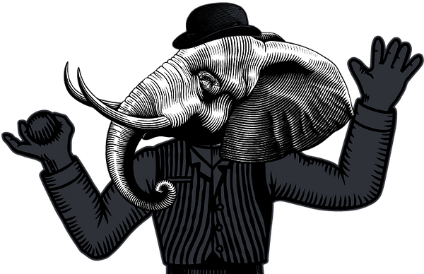 Folio Source-15.png