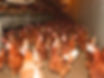 P1000964_edited.jpg