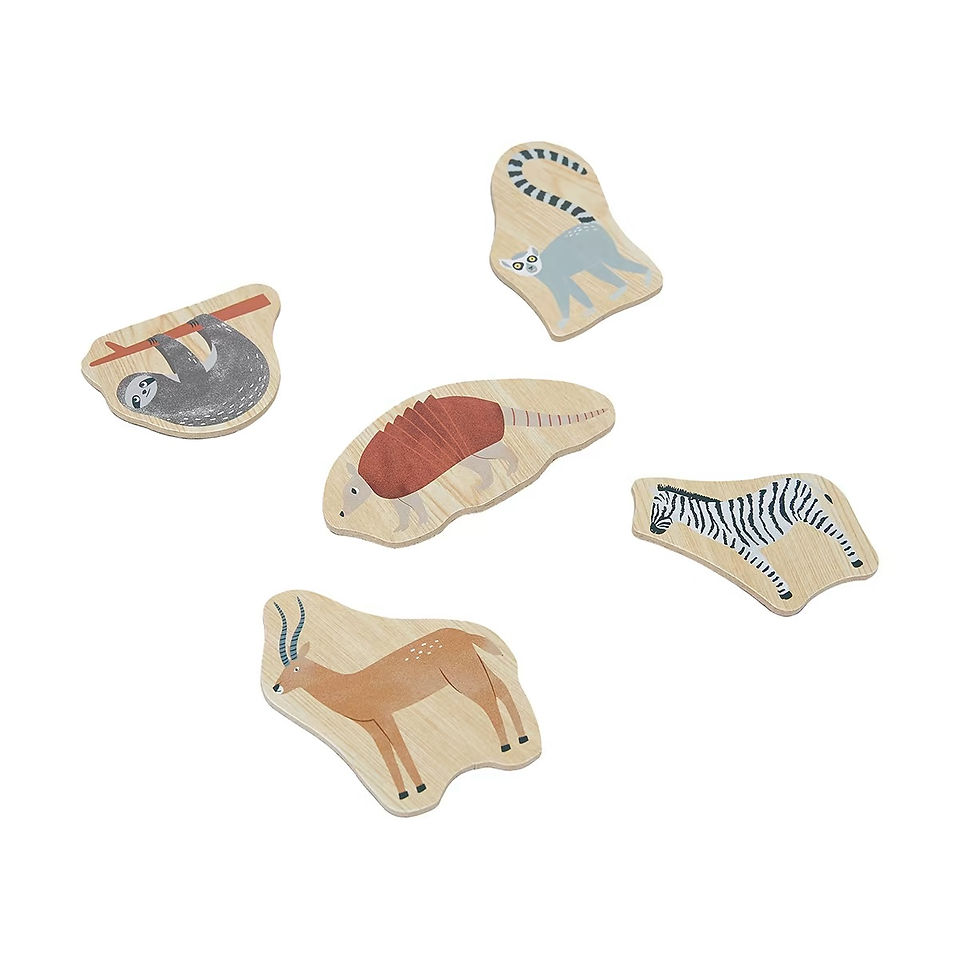 Thumbnail: Wooden Magnetic Animals - Assorted Pack of 2