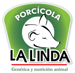 Empresa cliente SST riesgo psicosocial Psicotec-in